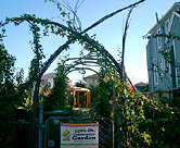 Entrance of garden