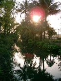 Canal in the sunset