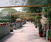 School entrance. Plant-lined entrance to the school.