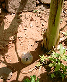 A simple form of 'drip irrigation', where plastic bottles with holes in the bottoms are buried neck deep into soil to allow for slow delivery to plant roots (see document). The exposed neck of the bottle is seen in this photo.