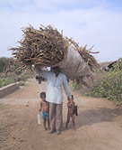 Collecting fuelwood