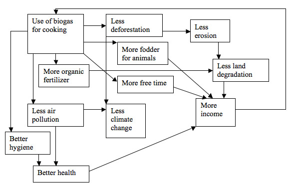 Figure 9. Diagram of the effects of cooking with biogas