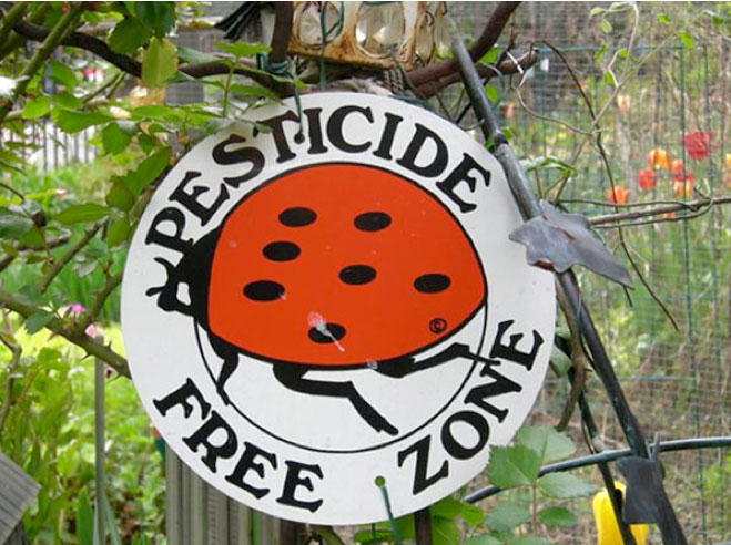 La regla de cero pesticidas.