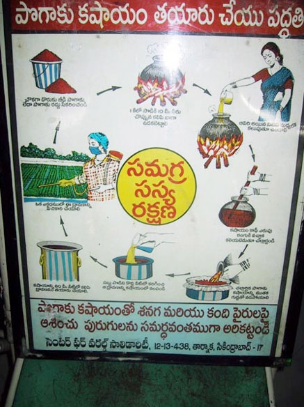 Afiche demostrativo de la preparación y aplicación de la solución de chile y ajo.