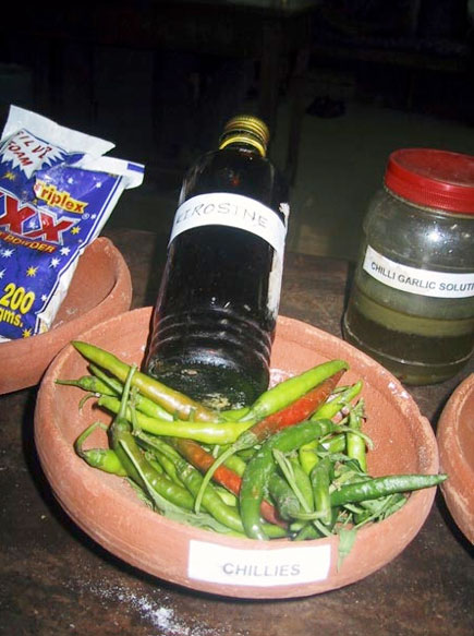 Ingredientes para la solución de chile y ajo.