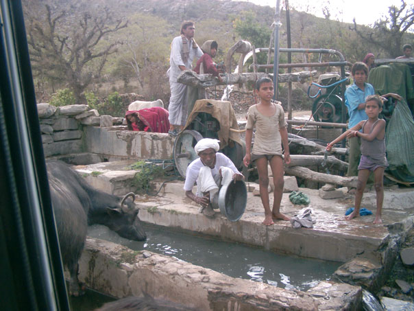 Un pozo en Gopalpura brinda agua para irrigación, ganado y el lavado de ropa. 