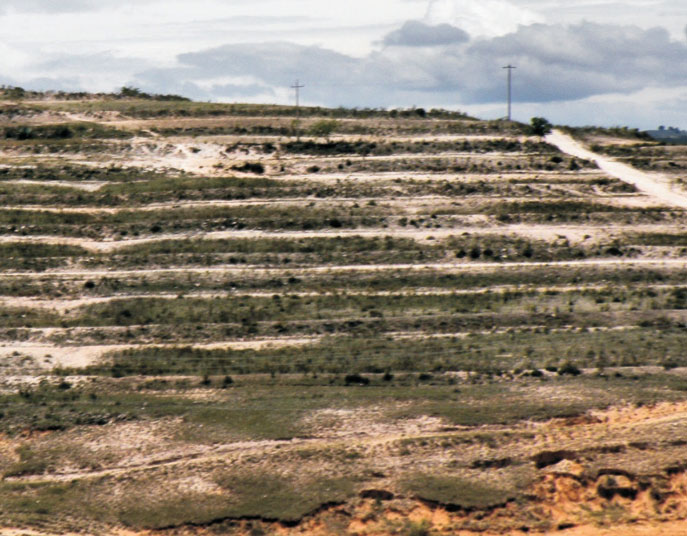 Sistemas de zanjas trincheras para captación de lluvia y suelo sobre una ladera en Telantongo, Oaxaca
