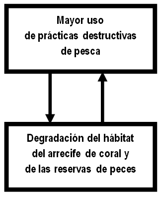 Figure 1. Circulo vicioso del uso de de las prácticas destructivas de pesca, degradación del hábitat del arrecife de coral y reducción de las reservas de peces.