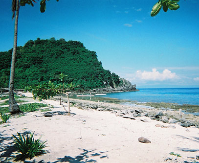 Figura 4. El santuario marino de la isla Apo.
