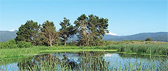 El condado de Humboldt, California, decidió tratar las aguas residuales como un recurso en vez de como un problema, y construyó el Santuario de Pantano y Vida Silvestre de Arcata. El pantano cuenta con sistemas naturales para filtrar las aguas residuales de la ciudad.
